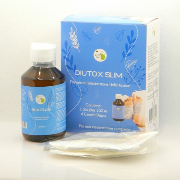 Diutox slim zenzero - Isola srl