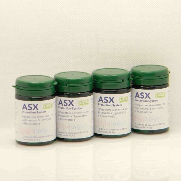 ASX PROTECTION SYSTEM - Isola